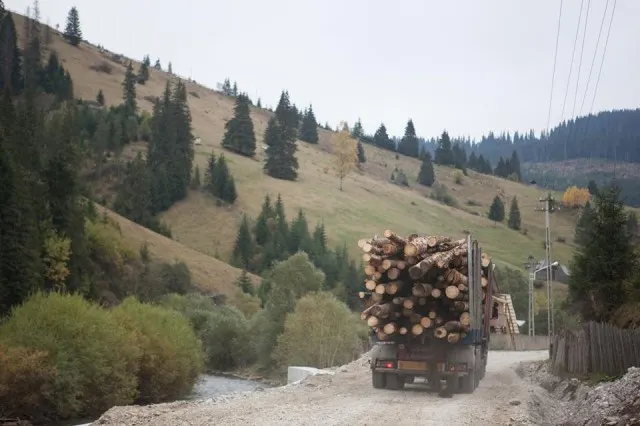 Conducea un camion cu lemne fără să aibă permis