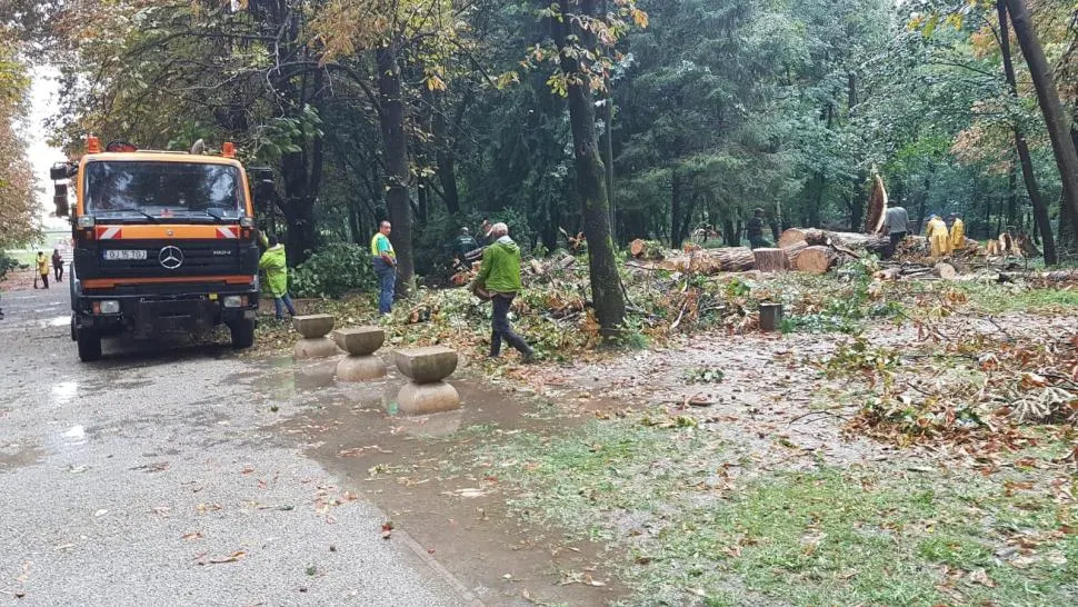 Furtună puternică la Târgu Jiu. Copaci căzuți lângă operele lui Brâncuși