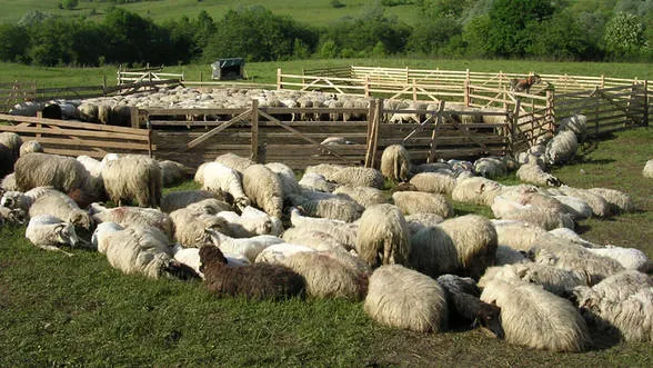 Vești bune pentru fermierii montani: Ministrul Agriculturii promite 1 miliard de euro