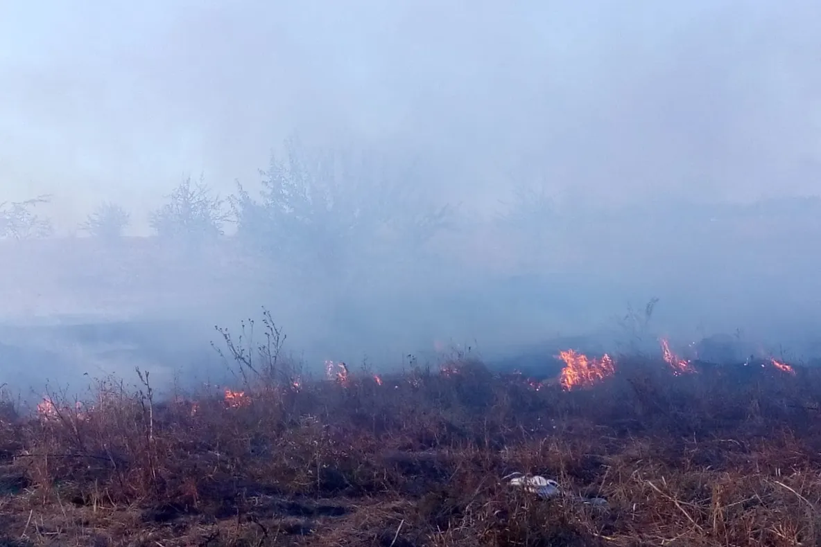 Belgia se confruntă cu cel mai grav incendiu de vegetaţie din ultimii 30 de ani