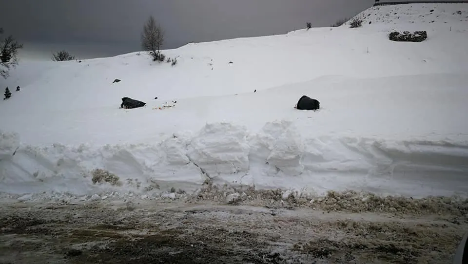 Gunoaie pe Transalpina. Cine le aruncă?