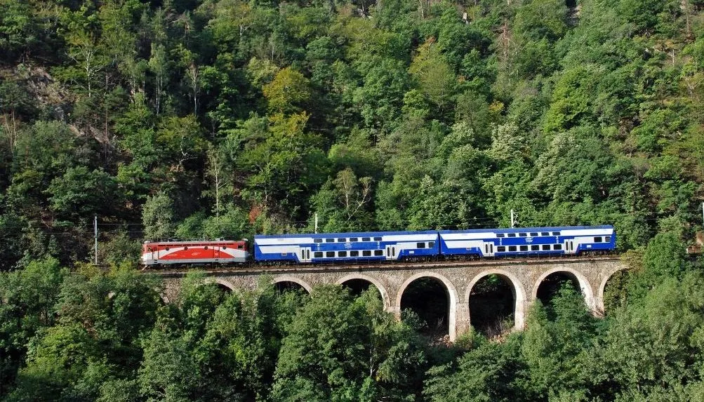 Întârziere mare pentru un tren, după ce a lovit doi cai la Târgu Cărbunești