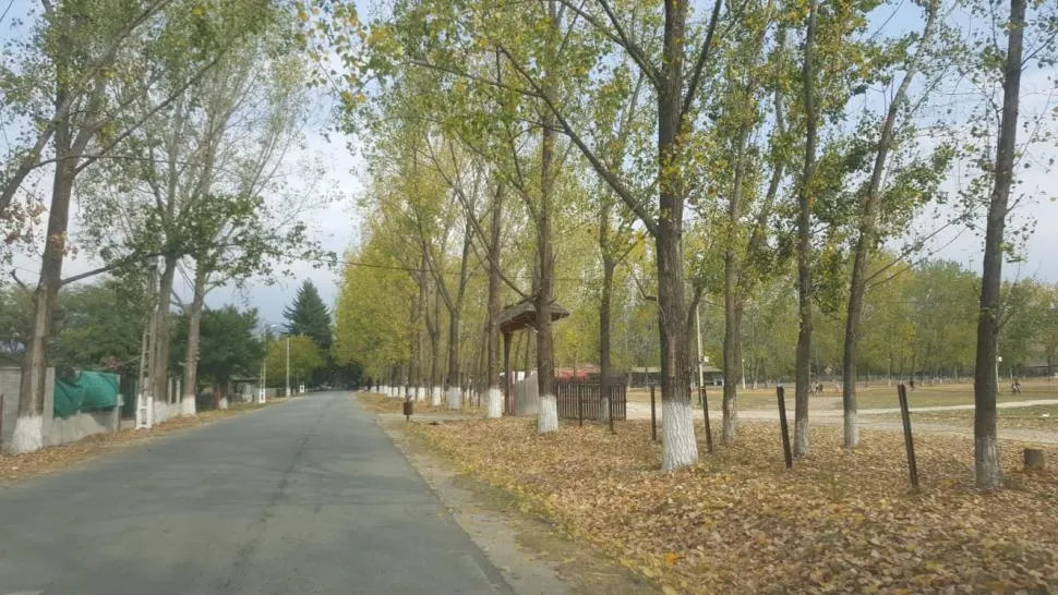 Un copil de 11 ani a condus o mașină pe străzile din Novaci