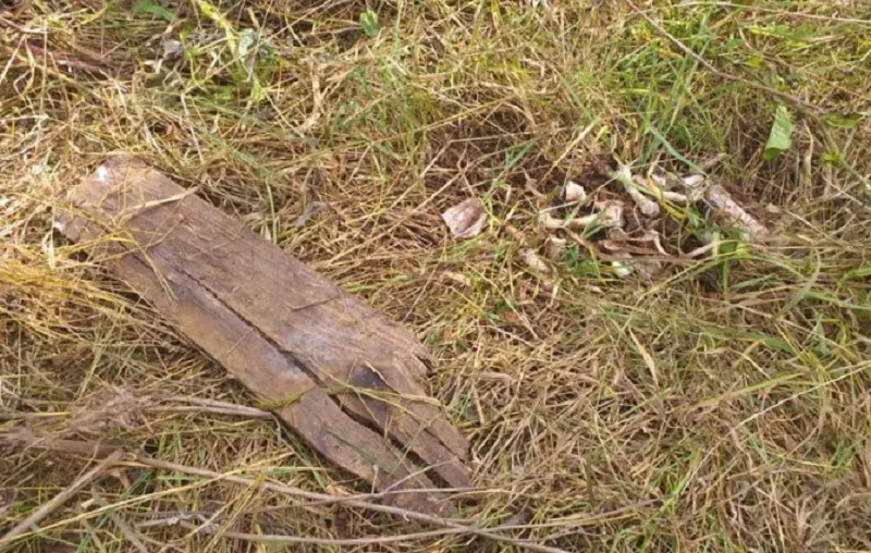Oase umane, găsite lângă cimitirul din Budieni