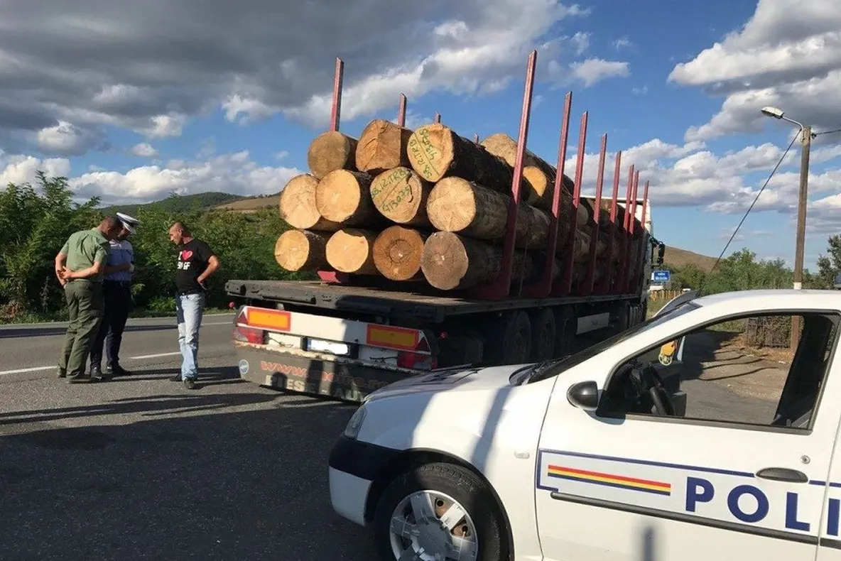 Cum dispar pădurile Gorjului: Județul e fruntaș la tăieri ilegale de copaci
