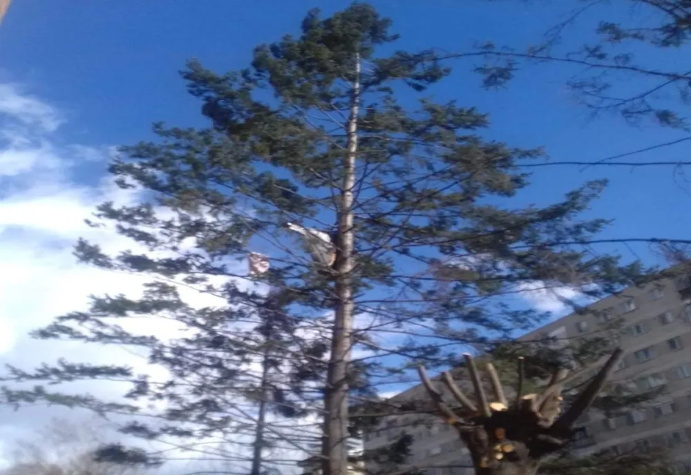 Vântul puternic face ravagii în Gorj: Acoperișuri distruse, localități fără energie electrică