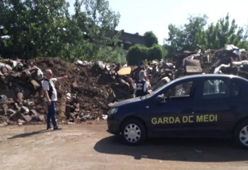 Garda de Mediu Gorj a amendat o firmă care prelucra lemnul. Neregulile găsite