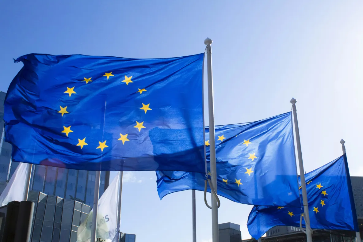 Uniunea Europeană aprobă planul privind centrele externe pentru expulzarea migranților