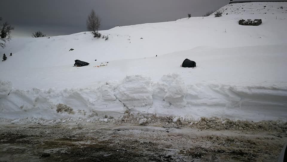 Gunoaie pe Transalpina. Cine le aruncă?