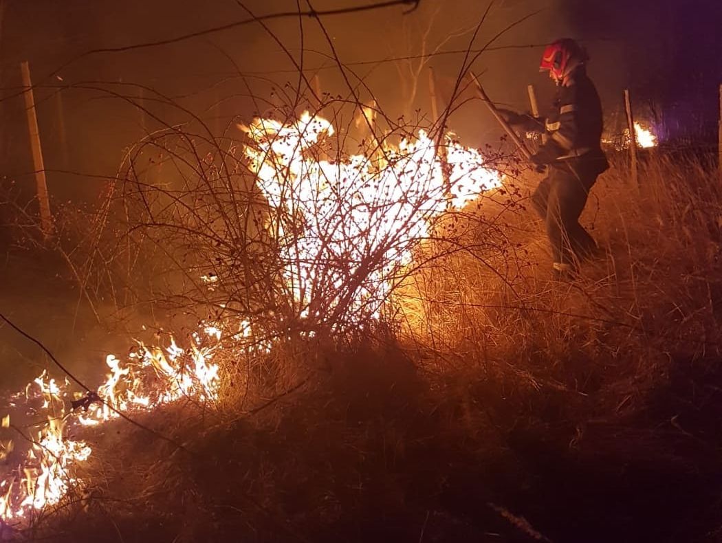 Incendiu de vegetație puternic la Câmpu Mare