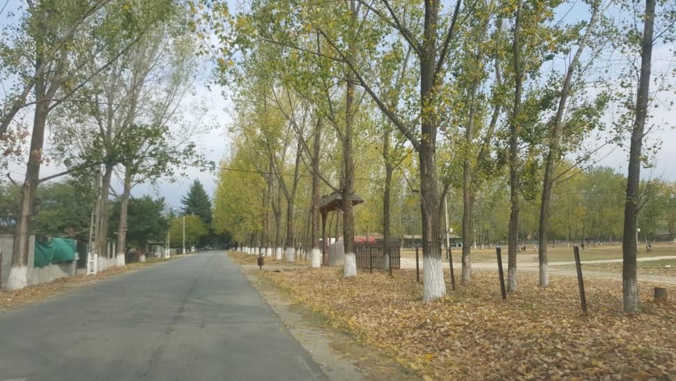Un copil de 11 ani a condus o mașină pe străzile din Novaci