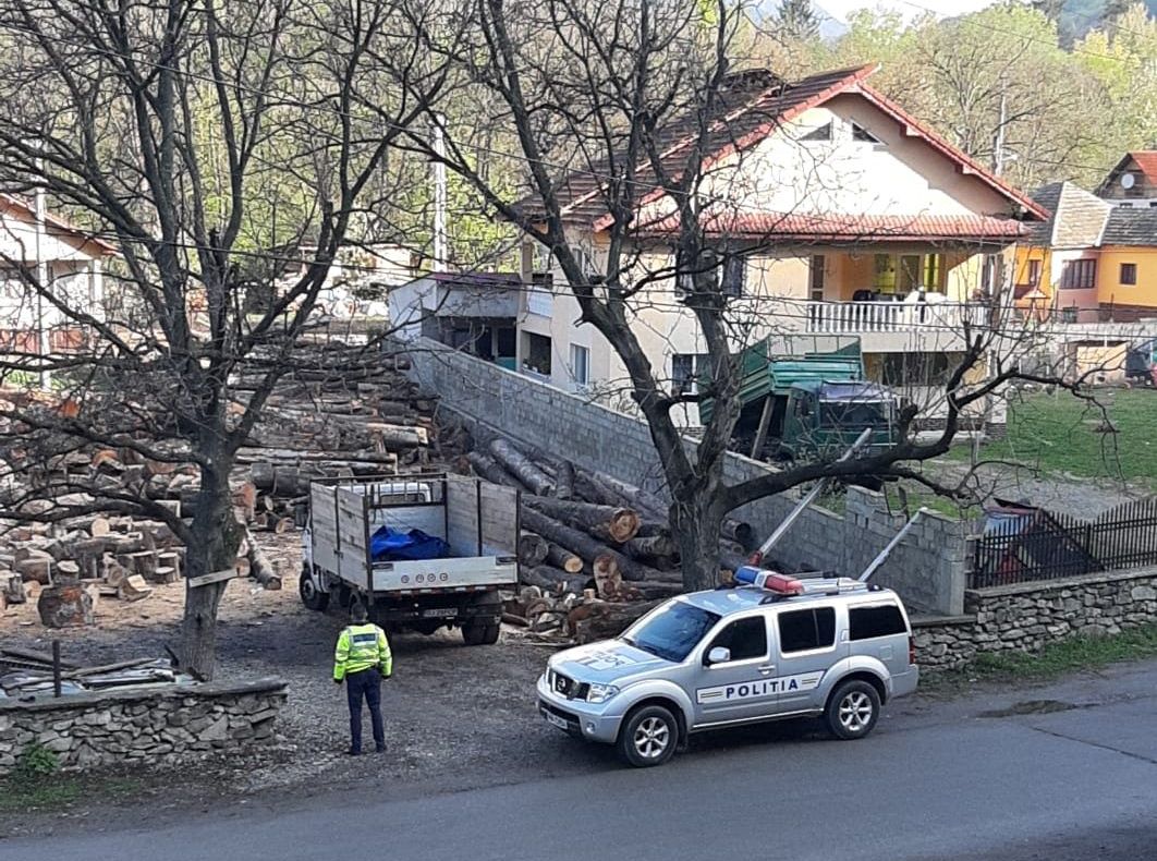 Percheziții la depozitele de cherestea din Gorj