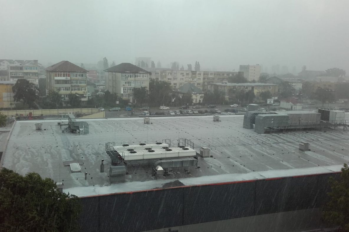 Cod Galben de grindină în Gorj
