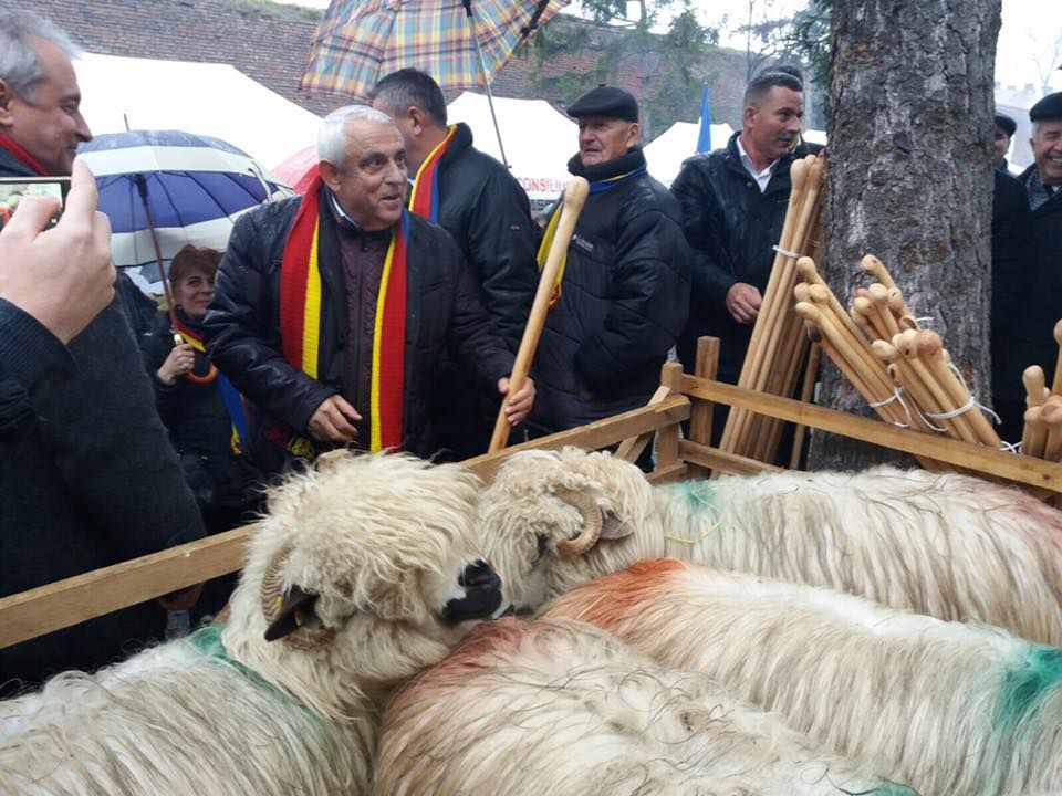 Dăncilă și Daea, invitați să urce oile la munte, în Gorj