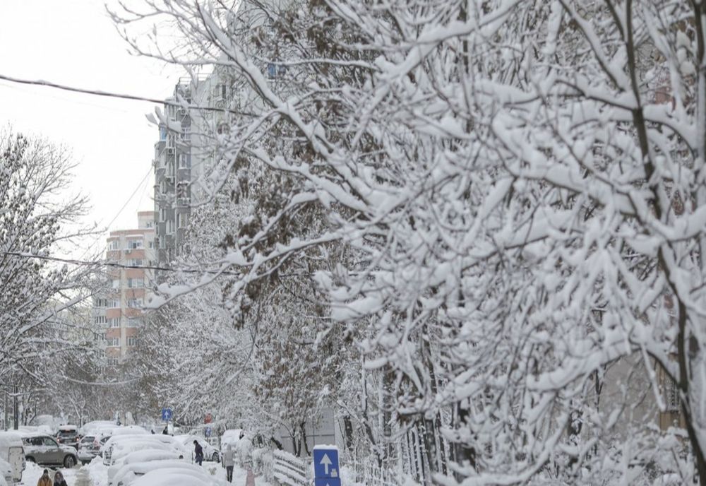Două coduri galbene de ninsori, vânt și polei, valabile până luni, 1 februarie
