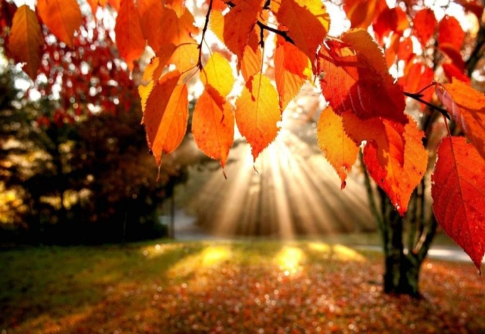 Prognoza meteo, până vineri. Ce spun meteorologii