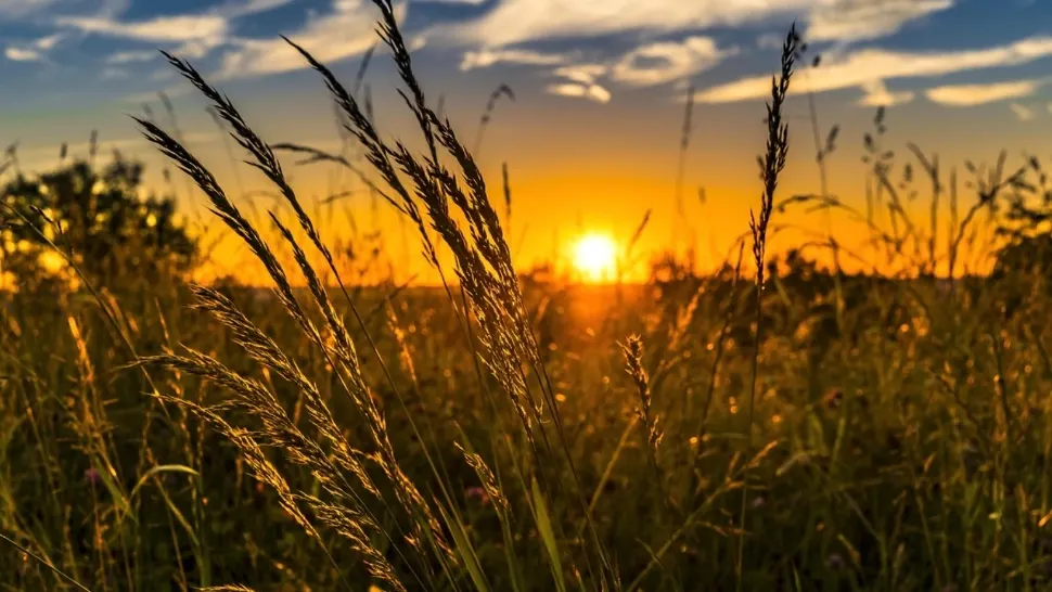 Temperaturi de vară