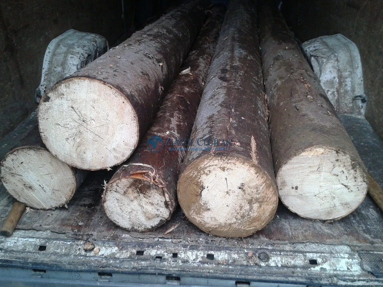 copac