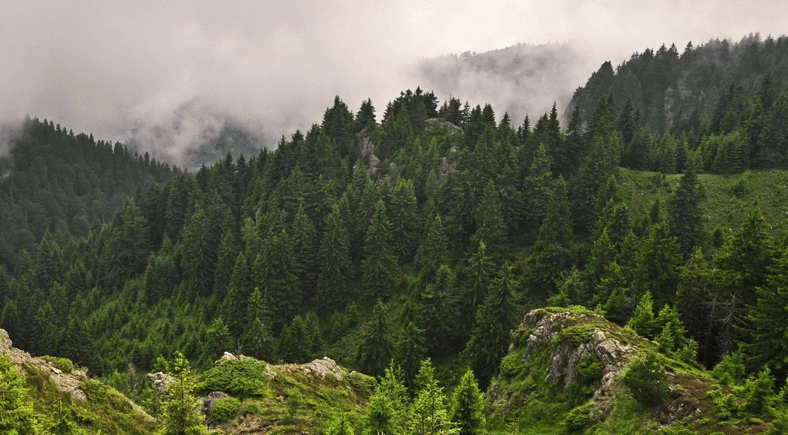 romania