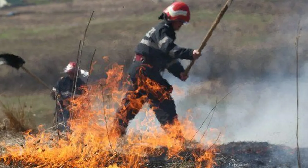 incendiu vegetatie