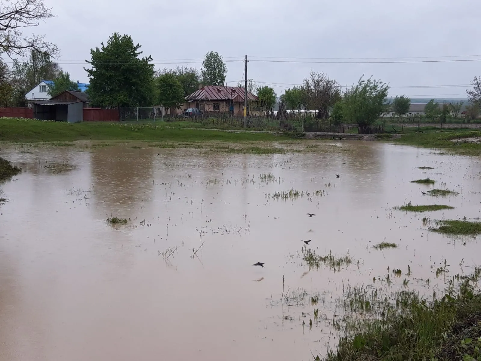 inundatii