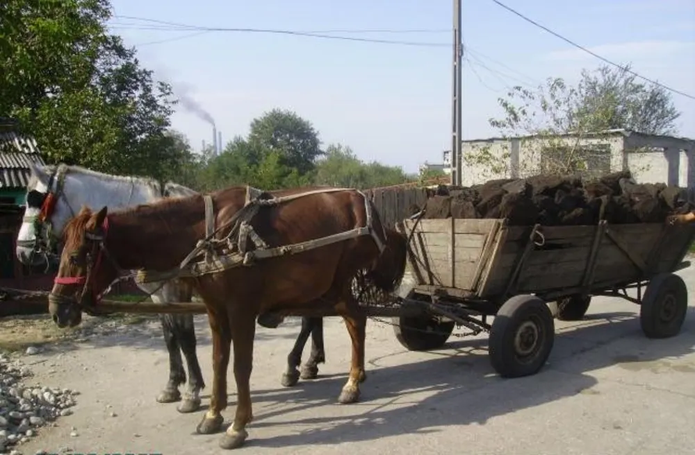 A furat aproape o tonă de cărbune cu căruța
