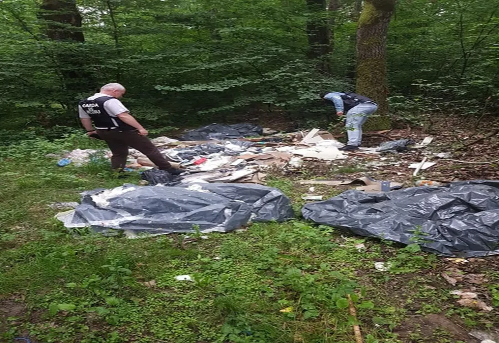 Groapă de gunoi, într-o pădure din Gorj