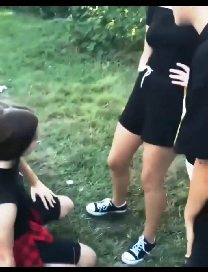 eleva umilita tgj