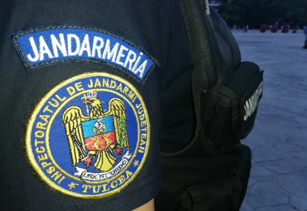 Pui de urs prins într-un laţ, într-o comună din Gorj