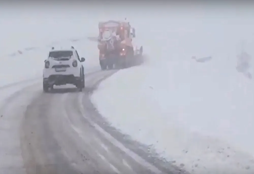 Gorj: A nins abundent în zona montană (VIDEO)