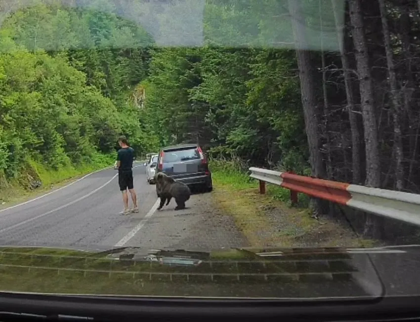 Imagini halucinante pe Transfăgărășan