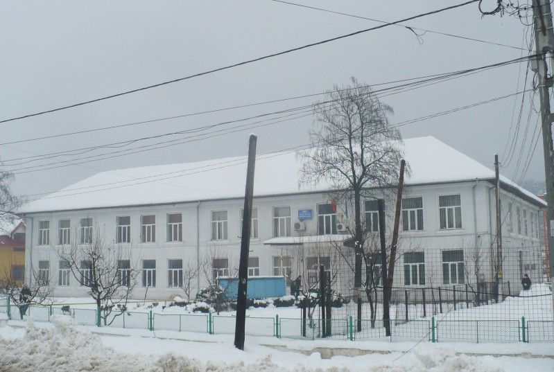 balteni