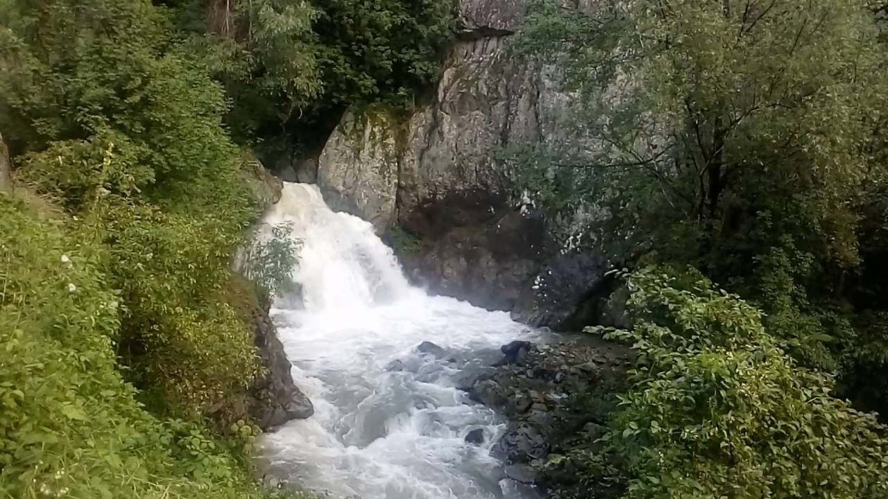 susita verde