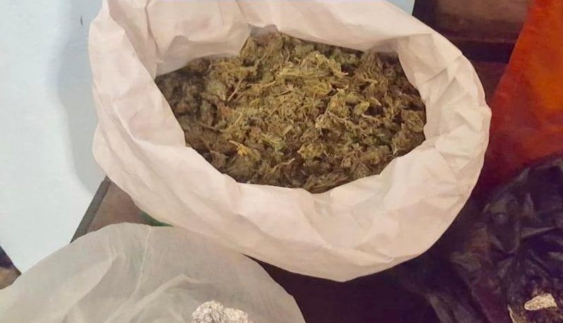cannabis