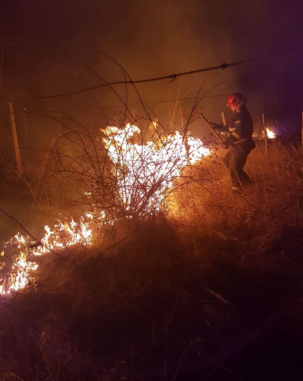 incendiu vegetatie