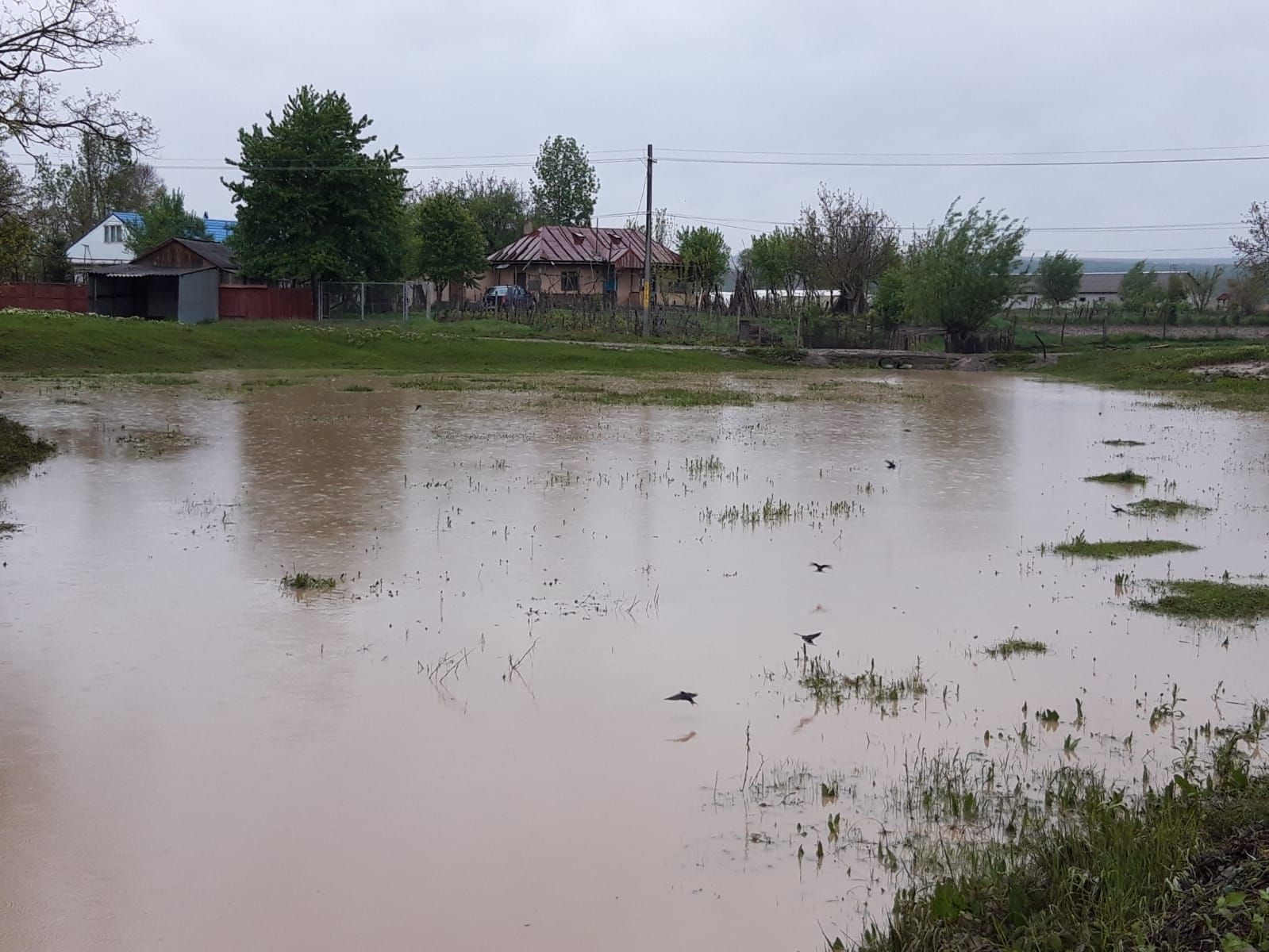 inundatii
