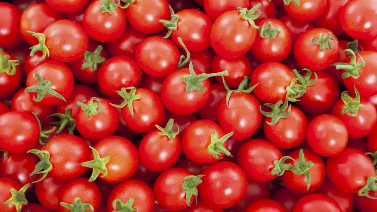 tomate