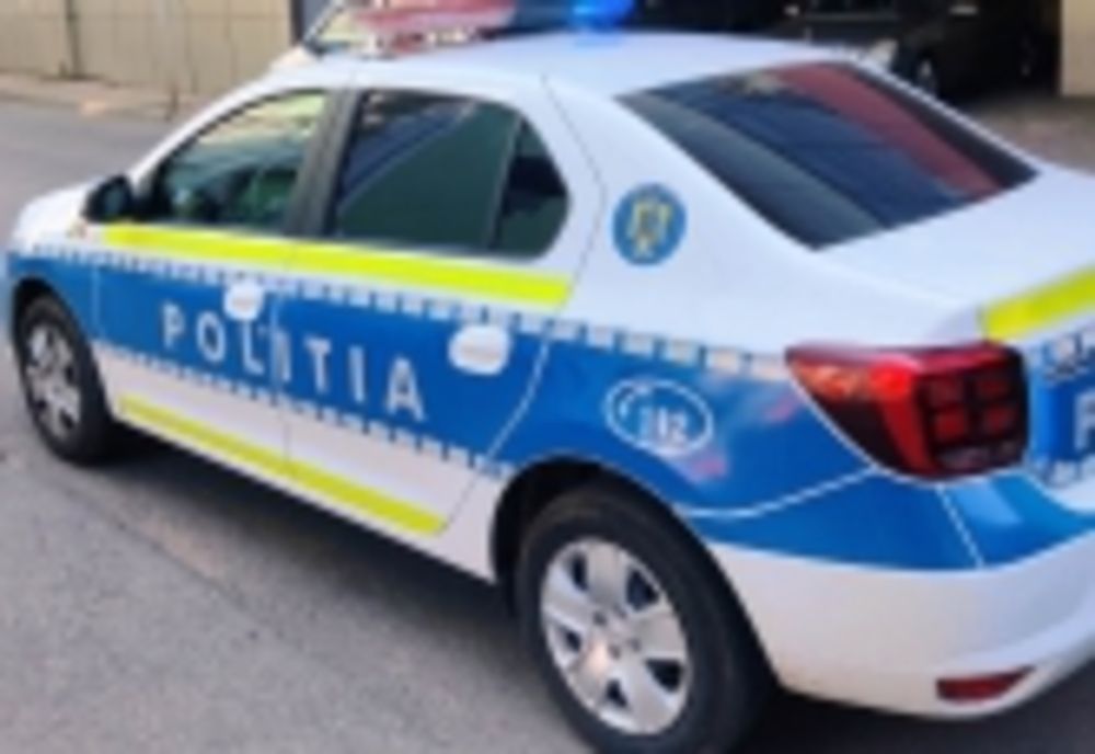 Gorj: Pădurar reţinut pentru fals şi uz de fals
