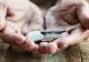 România, la limita supraviețuirii. Peste 50% dintre oameni sar peste mese din lispă de bani