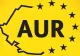 Energie ieftină pentru români, una dintre măsurile AUR pentru repararea erorilor guvernului Bolojan