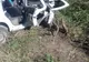 În ce zi au loc cele mai multe accidente rutiere în județul Gorj