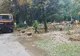 Furtună puternică la Târgu Jiu. Copaci căzuți lângă operele lui Brâncuși