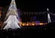 Bradul de 100.000 de euro de la Târgu Jiu nu mai e pe placul Primăriei