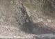Dejecții deversate printr-o conductă în apele Gilortului | VIDEO
