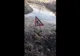 Încă un râu poluat în Gorj: Canalizarea din Baia de Fier se varsă în Galbenu | VIDEO
