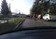 O herghelie de cai s-a plimbat printr-un cartier din Târgu Jiu 
