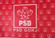 Când au loc alegerile în PSD Gorj