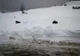 Gunoaie pe Transalpina. Cine le aruncă?