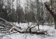 Parcul în care se află operele lui Brâncuși rămâne închis