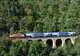 Întârziere mare pentru un tren, după ce a lovit doi cai la Târgu Cărbunești